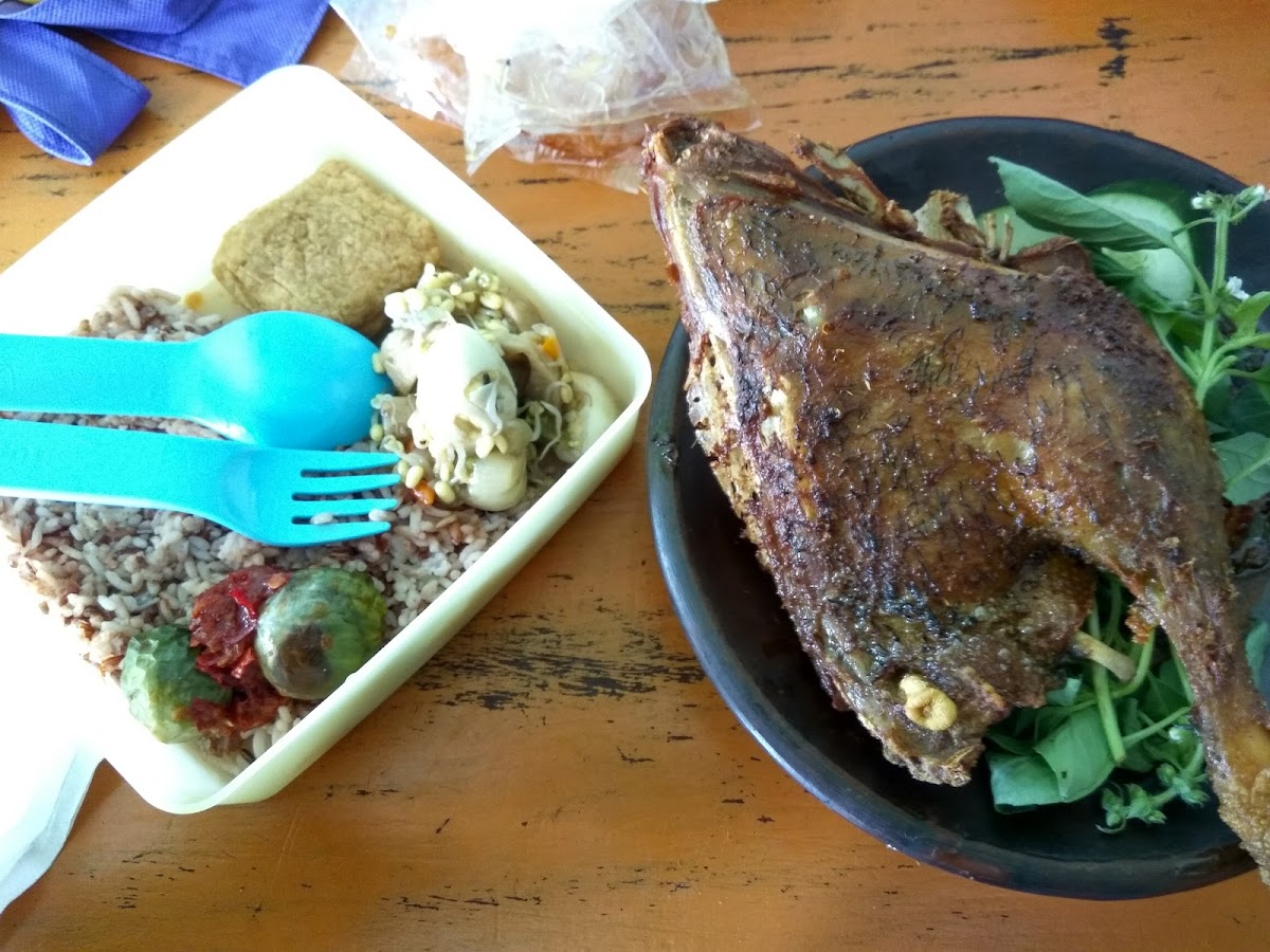 Bebek Goreng Martien-5